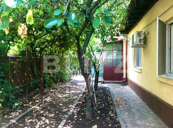 Casa de vânzare 3 camere Central - 68400CV | BLITZ Craiova | Poza2