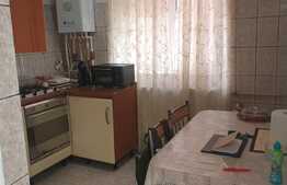 REDUCERE PREȚ! Casă individuală, 78 mp utili, 480 mp teren, zona Catargiu