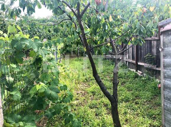 Casa de vânzare 3 camere Brestei - 68462CV | BLITZ Craiova | Poza10