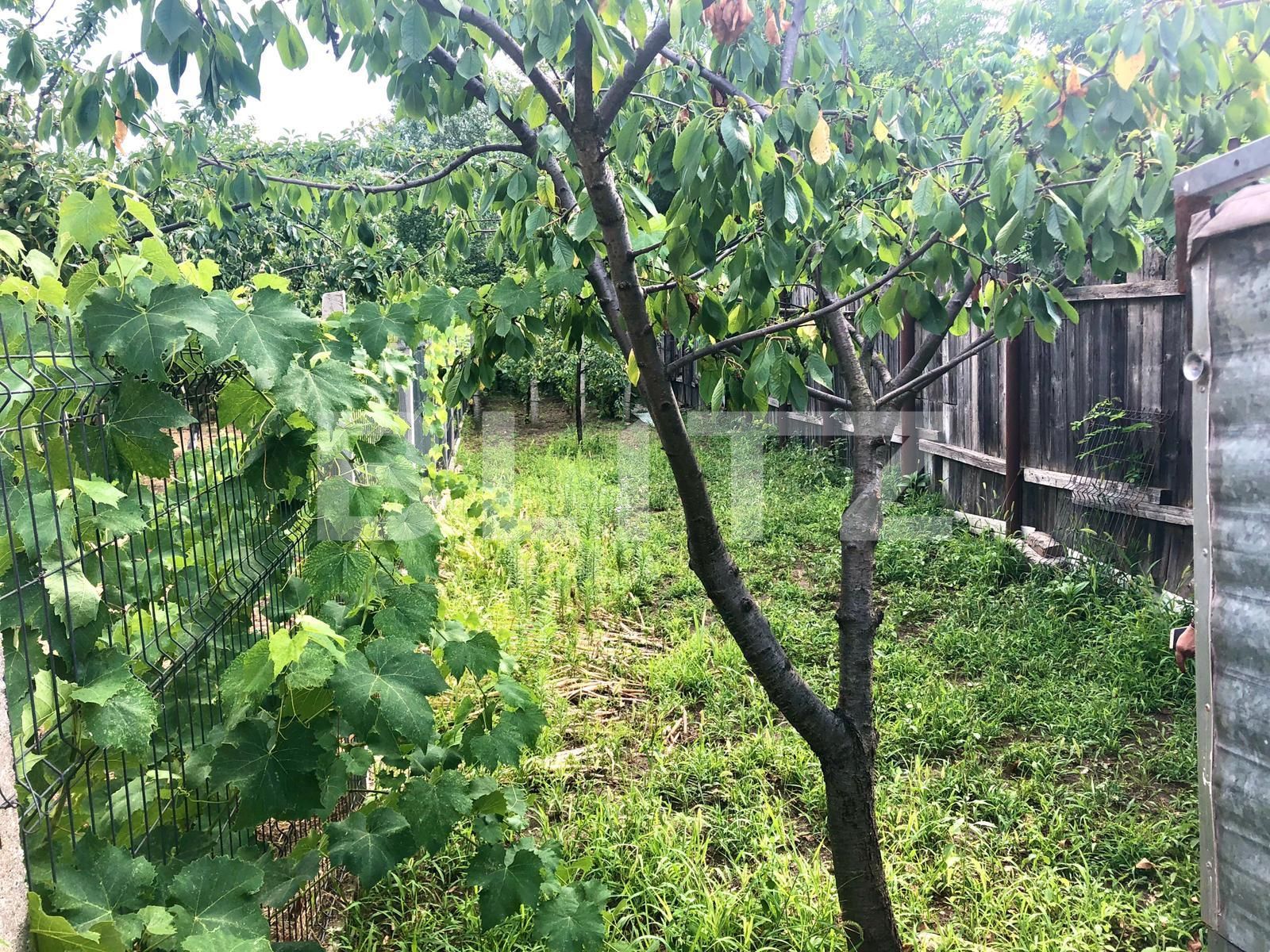 Casa de vânzare 3 camere Brestei - 68462CV | BLITZ Craiova | Poza10