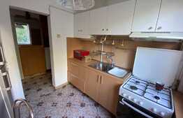 Ultracentral, apartament 2 camere semidecomandat, 44 mp, parter 
