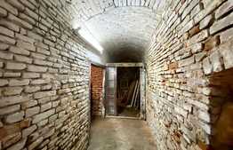 Ultracentral! Casa cu istorie, 373 mp utili, 584 m teren!