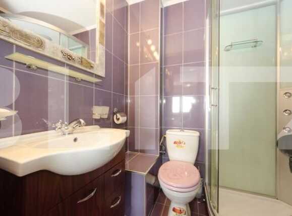 Apartament de închiriat 4 camere Lapus Arges - 69264AI | BLITZ Craiova | Poza9