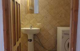 Apartament 1 camera + mansarda, 55 mp, zona Sf. Dumitru