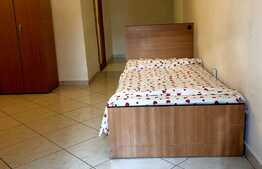 Apartament 1 camera + mansarda, 55 mp, zona Sf. Dumitru