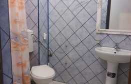 Apartament 1 camera + mansarda, 55 mp, zona Sf. Dumitru