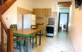 Apartament 1 camera + mansarda, 55 mp, zona Sf. Dumitru