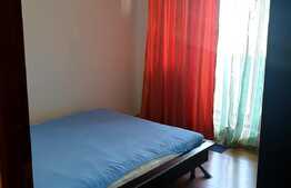 Apartament 3 camere, 65 mp, zona Calea Severinului