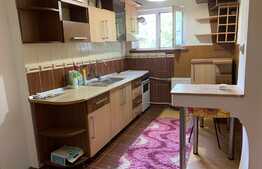 Apartament de 2 camere, etaj 1, zona Brazda lui Novac