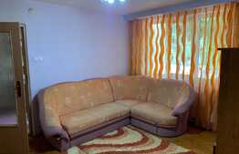 Apartament de 2 camere, etaj 1, zona Brazda lui Novac