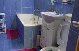 Apartament de 2 camere, etaj 1, zona Brazda lui Novac