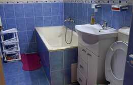 Apartament de 2 camere, etaj 1, zona Brazda lui Novac