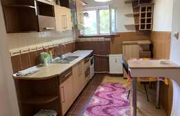 Apartament de 2 camere, etaj 1, zona Brazda lui Novac