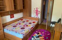 Apartament de 2 camere, etaj 1, zona Brazda lui Novac