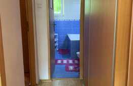 Apartament de 2 camere, etaj 1, zona Brazda lui Novac