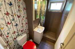 Investiție, apartamant 2 camere, parter, zona centrală