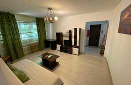 Investiție, apartamant 2 camere, parter, zona centrală