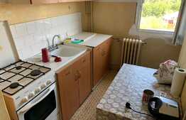 Garsoniera decomandata, zona Brazda lui Novac