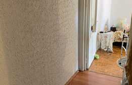 Investitie! Apartament de 2 camere, etaj intermediar, Craiovita Noua