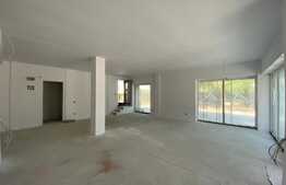 Spatiu comercial nou, zona Lapus!