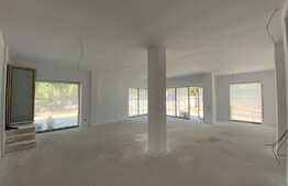 Spatiu comercial nou, zona Lapus!