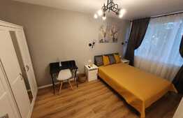 Apartament superb de 2 camere, 45 mp, zona Institut