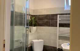Casa spatioasa la pret de apartament, 76 mp, curte, zona Centrala!
