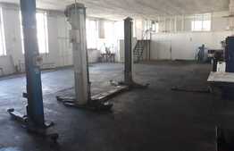 Hala industriala pretabila pentru depozitare/activitati, 300 mp, zona Calea Severinului