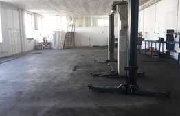 Hala industriala pretabila pentru depozitare/activitati, 300 mp, zona Calea Severinului