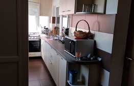 Apartament spatios, de 4 camere, decomandat in Craiovita Noua