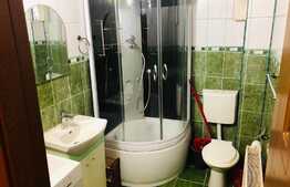 Casa 2 camere plus curte, mobilata si utilata modern, zona 1 Mai!