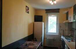 Apartament 2 camere, 47 mp, cartier Brazda lui Novac