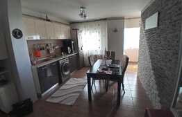 Apartament 2 camere, decomandat, la 5 minute de Parcul N. Romanescu!