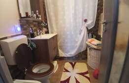 Apartament 2 camere, decomandat, la 5 minute de Parcul N. Romanescu!