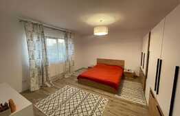 Casă superbă de 162 mp utili cu 300 mp teren, cartier Veteranilor