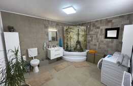 Casă superbă de 162 mp utili cu 300 mp teren, cartier Veteranilor