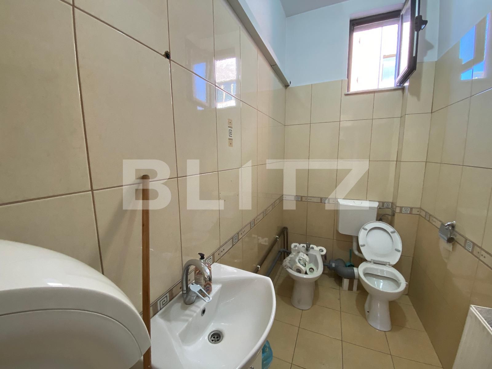 Spațiu birouri de închiriat Brazda lui Novac - 70751SIB | BLITZ Craiova | Poza10