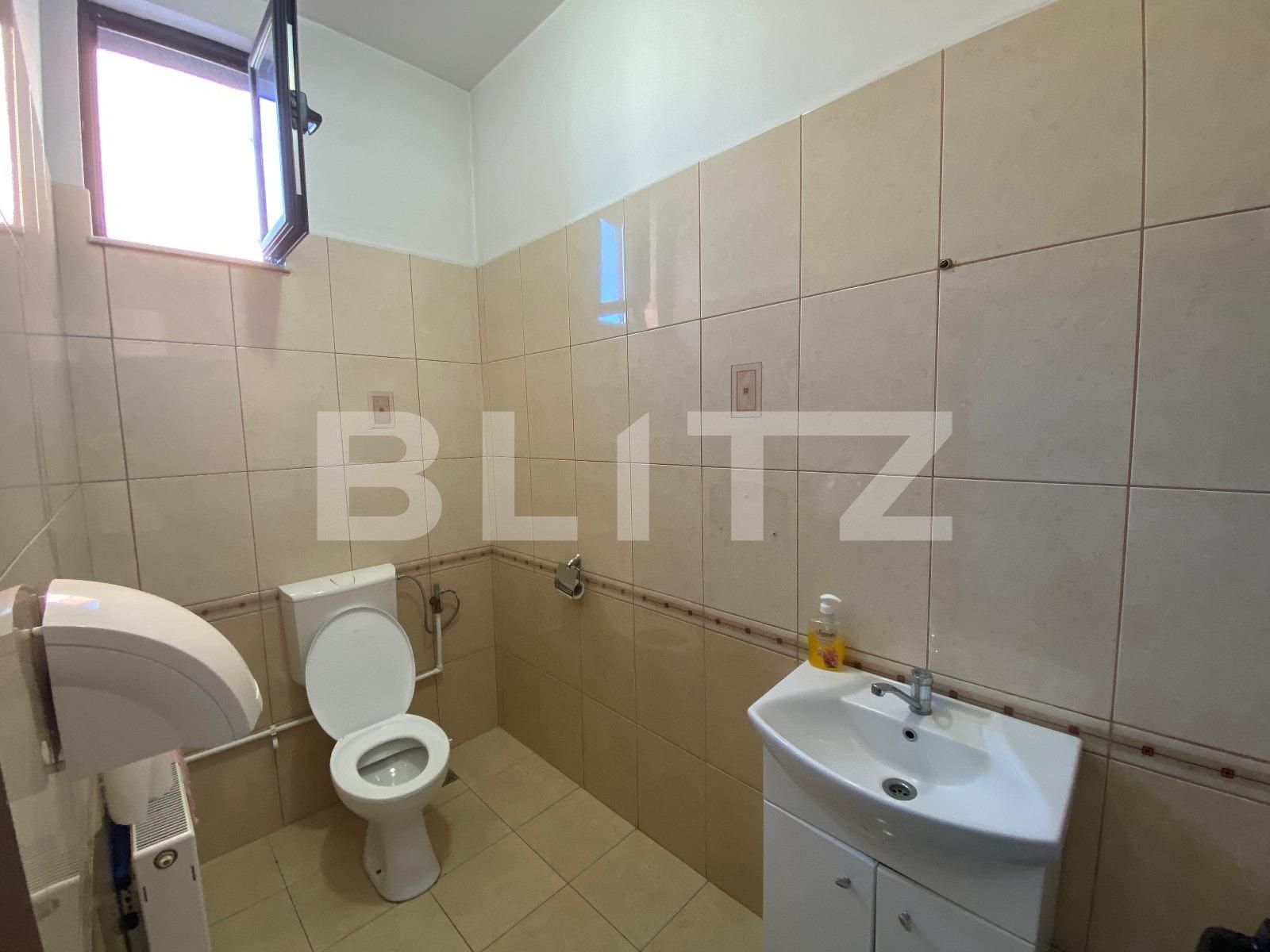 Spațiu birouri de închiriat Brazda lui Novac - 70751SIB | BLITZ Craiova | Poza11