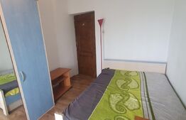  Apartament 3 camere, centrala termica, Zona Calea Severinului