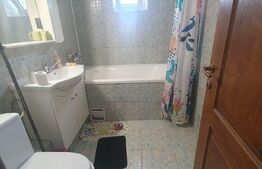  Apartament 3 camere, centrala termica, Zona Calea Severinului