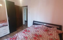  Apartament 3 camere, centrala termica, Zona Calea Severinului