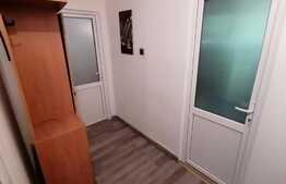 Apartament de 2 camere, 50 mp, mobilat, zona Brazda.
