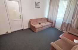 Apartament de 2 camere, 50 mp, mobilat, zona Brazda.