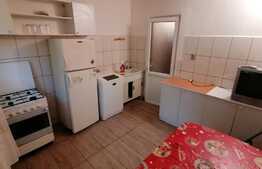 Apartament de 2 camere, 50 mp, mobilat, zona Brazda.
