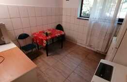 Apartament de 2 camere, 50 mp, mobilat, zona Brazda.