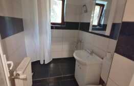 Apartament de 2 camere, 50 mp, mobilat, zona Brazda.