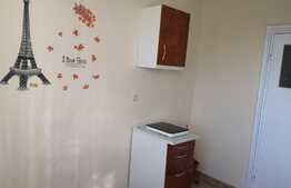 Apartament 2 camere, decomandat, Calea Bucuresti, zona Institut