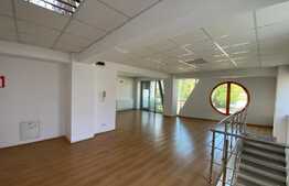 Spațiu comercial, 300 mp, pretabil showroom, Calea București