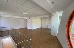 Spațiu comercial, 300 mp, pretabil showroom, Calea București