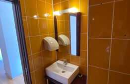 Spațiu comercial, 300 mp, pretabil showroom, Calea București